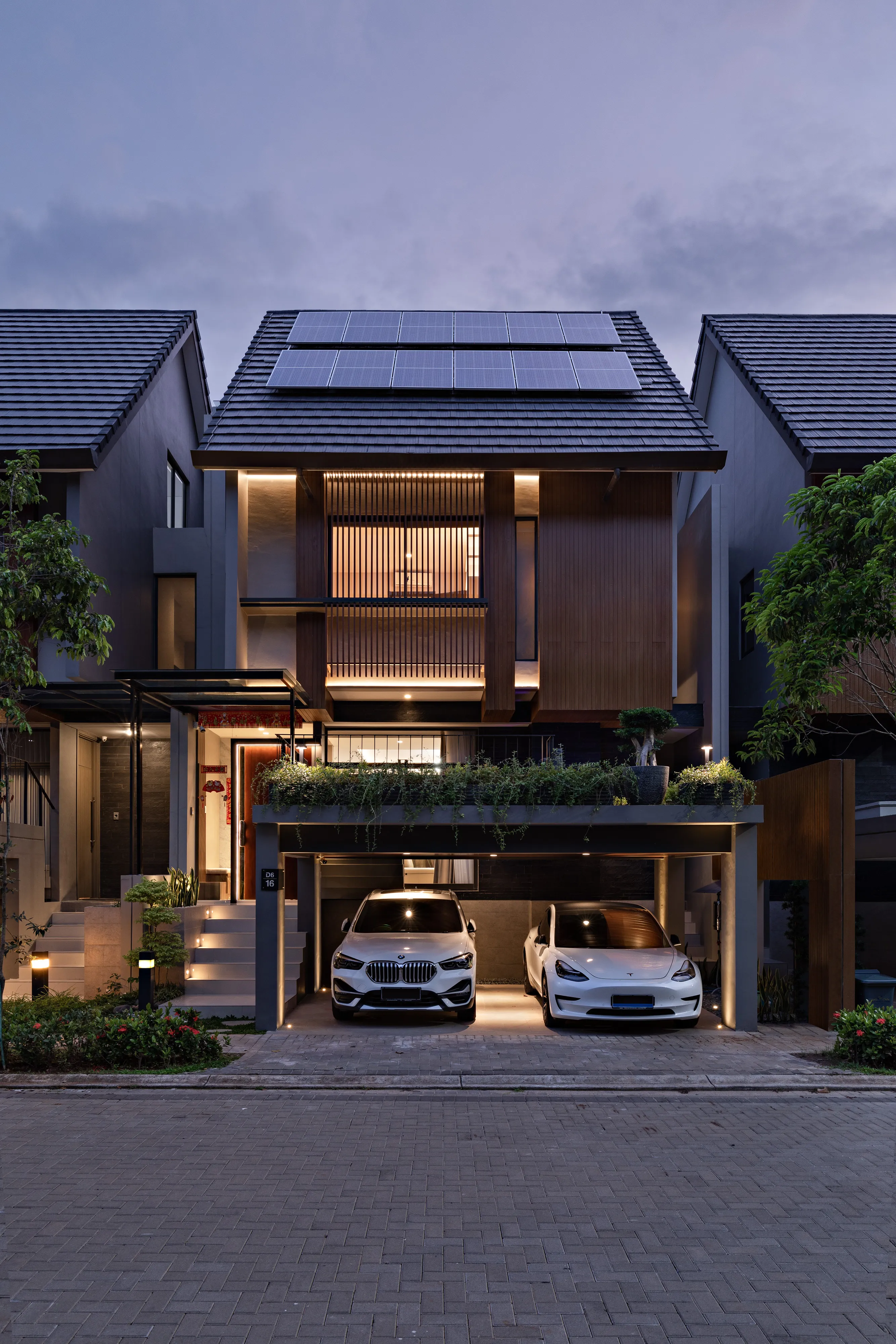 BSD CAELUS